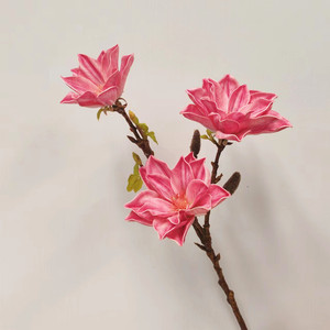 Orquídeas <span class=keywords><strong>Dendrobium</strong></span> artificiales de seda para decoraciones de bodas y decoraciones para el hogar Flor preservada - Product Image 6