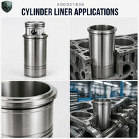 Chemise de cylindre X00027830 00027830 pour moteur diesel, pièces de rechange pour générateur marin, compatible avec piston MTU