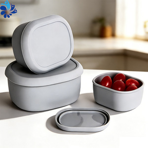 Oval Silicone <b>Lunch</b> Box <b>Set</b> 200ml 300ml 600ml Food Grade High Temperature Resistant Camping Outdoor Storage Container - Product Image 2