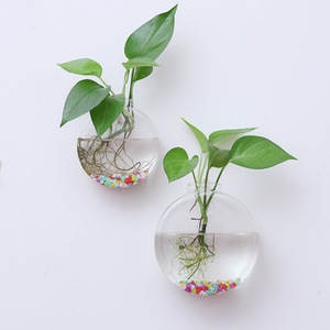 <span class=keywords><strong>Vasi</strong></span> in <span class=keywords><strong>Vetro</strong></span> <span class=keywords><strong>per</strong></span> <span class=keywords><strong>Piante</strong></span> Acquatiche Sospese - Product Image 2