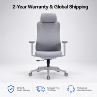 Chaise de bureau exécutive ergonomique contemporaine en maille de haute qualité avec soutien lombaire flexible et accoudoirs 3D réglables pour le bureau à domicile