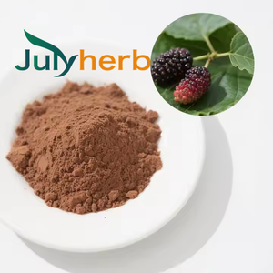 Julyherb Organique 1% DNJ De Qualité Alimentaire Poudre De Feuille De Mûrier Extrait D'eau Supplément À Base De Plantes En Vrac Or Standard Sac Emballé - Product Image 2