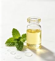 Extrait de menthe poivrée naturel de haute qualité, matières premières de qualité alimentaire, arôme de menthe