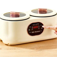 Vente directe usine – Marmite électrique et faitout 4L à double paroi antiadhésive avec contrôle numérique pour usage domestique et extérieur