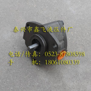 Pompe à rotor cycloïdal Ningjiang KBB, taille de lot 4,5 ml/R, pompe à huile à denture hélicoïdale avec pompes hydrauliques YG3612 - Product Image 2