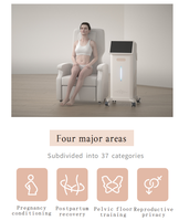 Stimulateur musculaire du plancher pelvien portable, chaise magique, machine de perte de poids, Royaume-Uni, pour le traitement du plancher pelvien, système de location