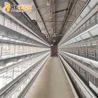 Système d'élevage de 20 000 poules, équipement de cage avicole automatique de type H