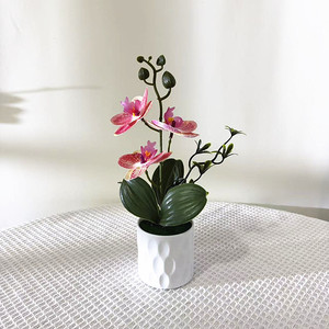 Nuovo <span class=keywords><strong>Bonsai</strong></span> di Phalaenopsis a Tre Fiori in Vaso Dritto 26x13cm, Pianta Verde per Interni/Esterni, Decorazione Semplice per Casa e Festività - Product Image 6