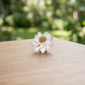 Sola Wood 8 CM Dried <b>Reed</b> <b>Diffuser</b> White Environmental Friendly Home Decorative Flowers Plants Inspired Thailand Wedding Great - Product Image 3