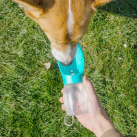 Bouteille d'eau portable pour chien, personnalisable avec logo, pas chère, vente en gros