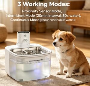 <span class=keywords><strong>Fontaine</strong></span> à <span class=keywords><strong>eau</strong></span> intelligente sans fil rechargeable pour animaux de compagnie, 3,2 L, en acier inoxydable, distributeur d'<span class=keywords><strong>eau</strong></span> automatique pour chien, <span class=keywords><strong>fontaine</strong></span> automatique sans fil pour chat - Product Image 5