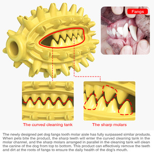 Solid Color Tpr Chewing <b>Toy</b> for Dogs Teeth Cleaning <b>Interactive</b> Squeaky Pet <b>Toy</b> Yellow and Green Design - Product Image 4