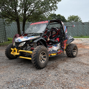 Véhicules utilitaires sportifs (<span class=keywords><strong>UTV</strong></span>) à 4 temps, certifiés EPA, consommation de carburant de 4,2 L/100 km, position du levier de vitesses D/N/R, vitesse de 50 km/h, essence, 4x4, 200 cm³, en vente - Product Image 2