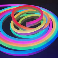 Néon Flexible LED Étanche Numérique DMX, Ruban Lumineux de Noël RVB RVBW, Ultra Fin 3mm 5mm 6mm, Personnalisé 12V 24V pour Enseignes