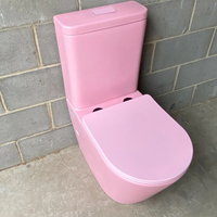 WC mural deux pièces en céramique, couleur mate, avec réservoir intégré, pour salle de bain domestique, modèle Australie