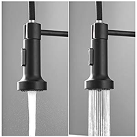 Robinet pulvérisateur d'eau extractible, mitigeur de cuisine en laiton pour évier d'eau