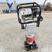 Pilon vibratoire en fonte 6,5 CV 65 kg pour petits fossés, sols argileux et fondations, avec certification EPA
