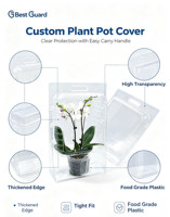 Empaque de Blíster Transparente Personalizado de PET Reciclable de 1 mm de Grosor para Bandejas de Semilleros, Caja Transparente para Viveros