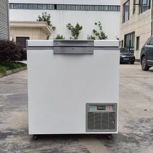 Congélateur ultra basse température -65°C, 1000 litres, pour produits de la mer, sushis, thon, en acier inoxydable SUS 304 - Product Image 2