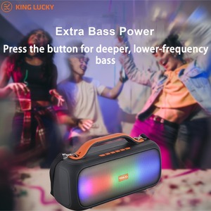 مكبر صوت محمول 4409 مع إضاءة LED ملونة، مقاوم للماء بمعيار IPX4، بطارية 1500 مللي أمبير للحفلات والكاريوكي واستخدام الهاتف المحمول - Product Image 3