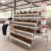 Nouvelle Offre Spéciale : Cage à Poulets à 4 Niveaux en A, Galvanisée, Haute Capacité, Gain de Place, Équipement d'Élevage de Poulets, Prix Usine