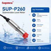 Sonde compacte submersible pour la purification de l'eau, la mesure du niveau et la collecte de données sur courte portée