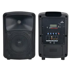 Accuracy Pro Audio PC6.5JY-BP-BT Home theater DSP active sound system portable speaker with fm radio