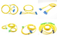 Soudeuse Optique FTTH SC-SC Fan-out Câble Multi Core 12 Core Fiber Optique Patch Cordon