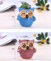 Mini plantes en Pot pour ornements de jardin, pots de fleurs en céramique multicolores et créatifs en forme d'animal, ornement de la maison, htlh 580