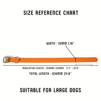 2026 Most Popular Soft Adjustable Pvc Dog Training Collar, Personalized Metal Pet Collar & Leash Set