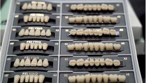 Feiying Dents Dentaires Résine <span class=keywords><strong>Temporaire</strong></span> Résination Faux Acrylique Dentiers Réparation Dents <span class=keywords><strong>Prothèse</strong></span> - Product Image 4