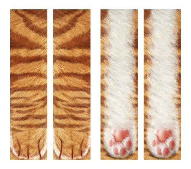 Cat pattern