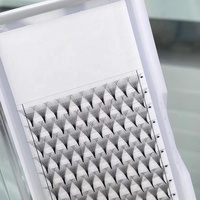 En vente à la main Base mince Pro Fans Lashes 6D 8D 10D 12D 14D prêt à expédier Bases pointues Volume Extensions de cils
