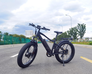 Bicicleta Eléctrica de Doble Motor 48V 250W, Bicicleta de <span class=keywords><strong>Montaña</strong></span> con Llantas Gruesas de 26 Pulgadas, Bicicleta Eléctrica para Adultos - Product Image 4
