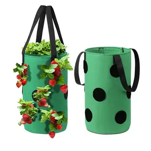 Pote de feltro para plantas, cabide de morango, saco de crescimento, reciclado, de parede, com furos para decoração de jardim, venda imperdível