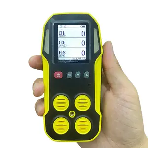 Sewage Portable handheld pump infrared Cell Measurement Gas Leak Detector 100%CH4 CO2 biogas analyzer device