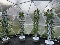 Système de culture hydroponique à 9 couches pour plantes de serre, système de culture hydroponique vertical en tour pour plantes et fleurs