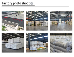 94% min Natri <span class=keywords><strong>tripolyphosphate</strong></span> na5p3o10 Nhà Máy Giá STPP Natri <span class=keywords><strong>tripolyphosphate</strong></span> cho đại lý làm sạch - Product Image 6