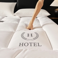 Hypoallergener 100% Polyester/Baumwolle Wasserdichter Antibakterieller Matratzenauflage Dick Queen-Size für Hotel & Heimgebrauch