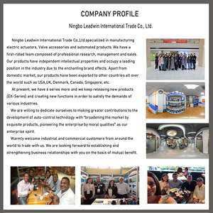 2 yollu elektrik 24V Motor modüle vana 4-20mA elektrik SS304 elektrik motorlu kontrol vanası aktüatör çin küresel vana - Product Image 6