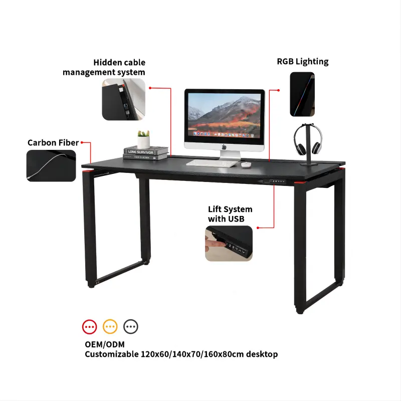 ADA Electric Height Adjustable Sit Stand Up Computer Gaming Tables Desk With RGB Light and Cable Management System