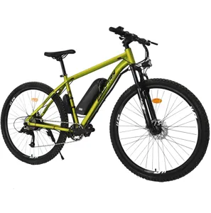 Hot di alta qualità della bici e del fornitore della cina su misura 10Ah bici elettrica 36V/48V 250W/350W/500W elettrico della bicicletta mountain bike