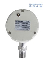 HS601 Digital Pressure Gauge