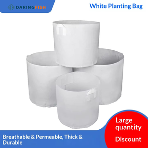 DaringFish Bolsas de Cultivo Blancas de Tela No Tejida Gruesa con Asas, Venta al por Mayor para Jardinería Doméstica y Producción de Viveros de Flores - Product Image 3