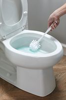 Fabricant OEM de désodorisant pour salle de bain, nettoyant pour drain de toilette