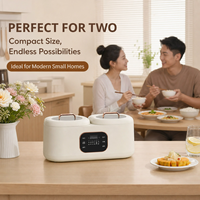 Casserole électrique intelligente double compartiment 3,4 L carrée, multifonctionnelle, portable, pour la cuisine à domicile et les appartements, OEM