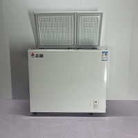 Congélateur horizontal à double porte 266L de haute qualité avec double capacité de température électrique pour une utilisation en hôtel Version d'inventaire X