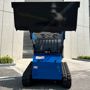 Theo Dõi <span class=keywords><strong>Mini</strong></span> Skid chỉ đạo Bộ nạp, xô nhỏ, CE/EPA, kinh tế, nông nghiệp bán buôn, miễn phí vận chuyển - Product Image 6