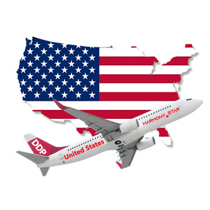 وكيل شحن جوي موثوق به بنظام التسليم شامل الرسوم |   خدمة شحن جوي سريعة من الباب إلى الباب |   من الصين إلى الولايات المتحدة الأمريكية - Product Image 1