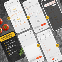 Thermomètre de gril Bluetooth IBT-2X INKBIRD pour thermomètre à viande BBQ sans fil